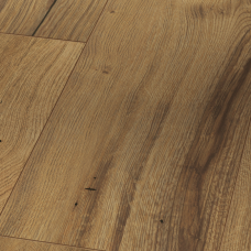 Дуб Зістарений